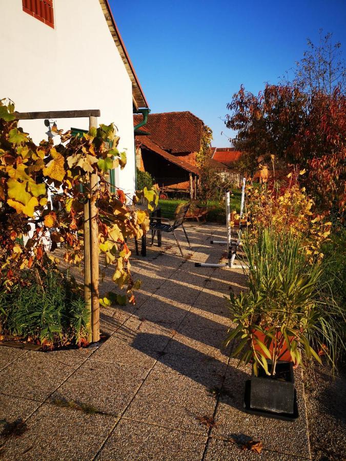 Ferienwohnungen Und Appartements Im Idyllischen Vierkanthof, Gruppenurlaube 로이페어스도르프 바이 퓌르스텐펠트 외부 사진
